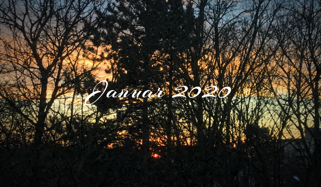 Monatsrückblick Januar 2020